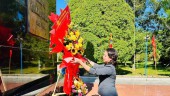 PHÓ CHỦ TỊCH NƯỚC VÕ THỊ ÁNH XUÂN DÂNG HOA, DÂNG HƯƠNG TẠI BẢO TÀNG QUANG TRUNG