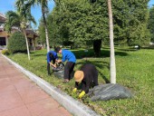CHI ĐOÀN THANH NIÊN BẢO TÀNG QUANG TRUNG RA QUÂN HƯỞNG ỨNG NGÀY THANH NIÊN CÙNG HÀNH ĐỘNG NĂM 2026